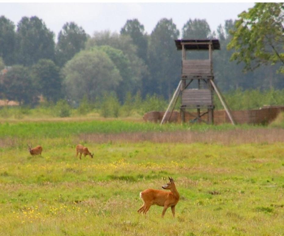 Vila Am Treis Wieringerwerf Exteriér fotografie