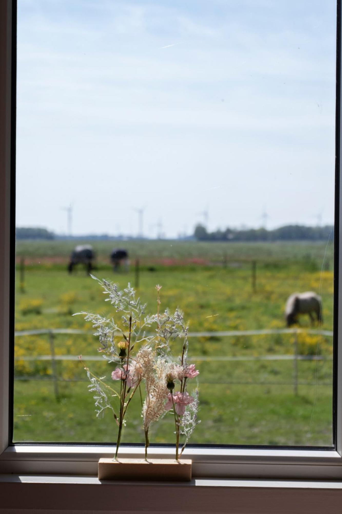 Vila Am Treis Wieringerwerf Exteriér fotografie